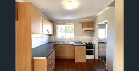 Urban Oasis! - Photo 4