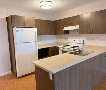 For Lease - 10415 Yonge Street Unit# 814, Richmond Hill, Ontario - Photo 5