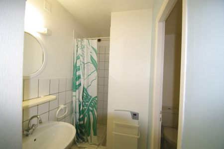 Location Appartement 1 pièce 27m² LA BROQUE 67130 - Photo 5