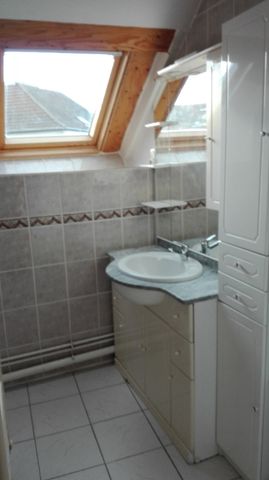 Joli DUPLEX très lumineux ! - Photo 4