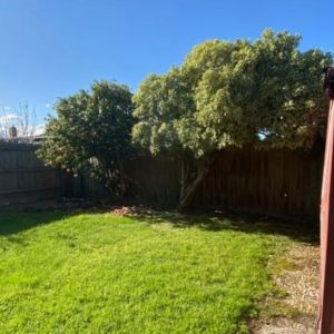 Large Family Home - Photo 2