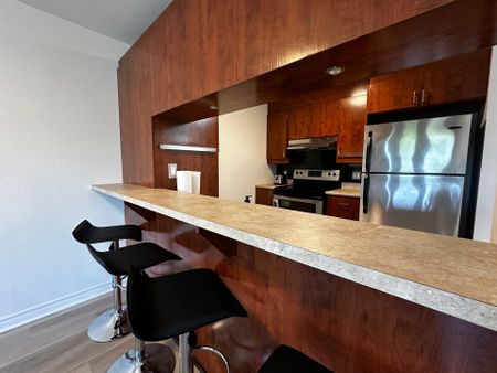 1931 Av. De Lorimier, Montréal (Ville-Marie), QC H2K - Photo 5