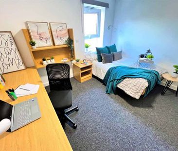 Premier Plus - Photo 4