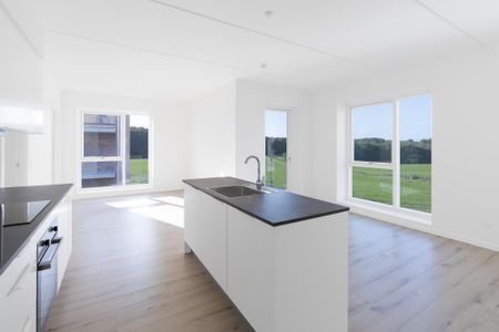 Rantzausbakke 78, 1. 3 - Photo 3