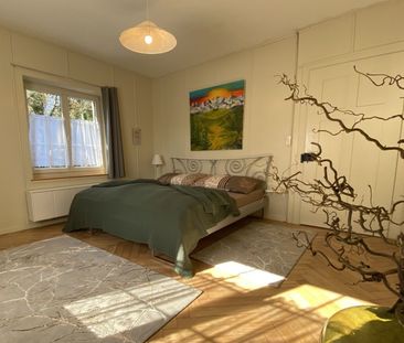 3-ROOM APARTMENT IN RICKENBACH SULZ (ZH), FURNISHED, TEMPORARY - Photo 4