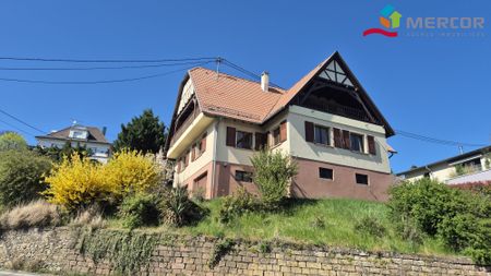 Location Maison 11 pièces 224m² OBERNAI 67210 - Photo 4