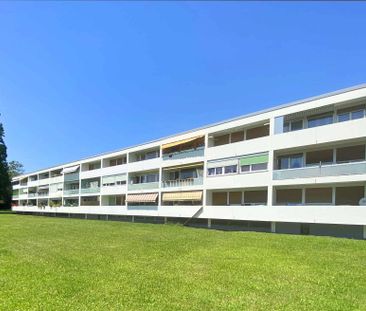 Appartement de 4 pièces à Onex - Foto 1