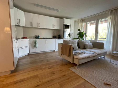 moderne 2.5 Zimmer-Wohnung zu vermieten - Photo 2