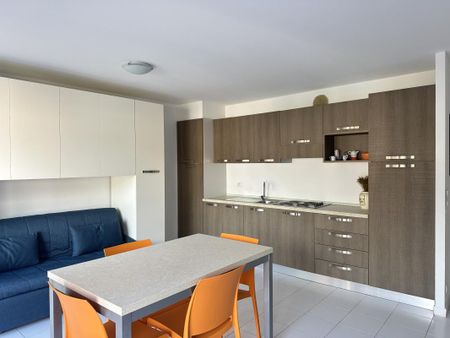 Location Appartement 1 pièce Meublé 35m² ROQUEBRUNE CAP MARTIN 06190 - Photo 4