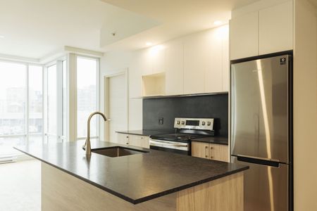 Luxurious high rise apartments located in the Old Port of Montreal - Photo 5