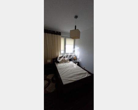 Szczecin - Zdjęcie 5