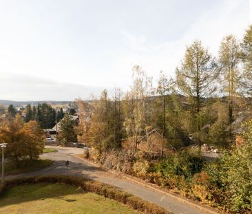 3-Raum-Wohnung mit Einbauküche und toller Aussicht über Geyer!!! - Photo 1