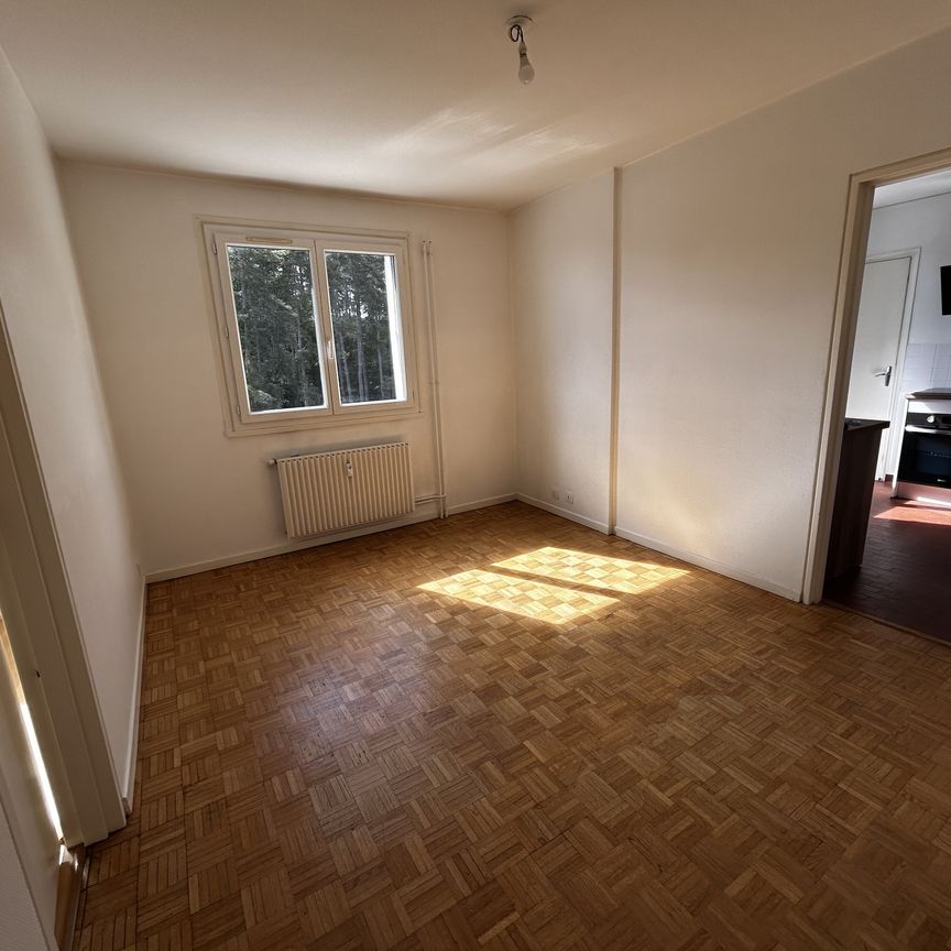 Location Appartement 2 pièces 43m² LE CREUSOT 71200 - Photo 1