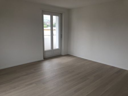 Mouson 1, Marin - Photo 5