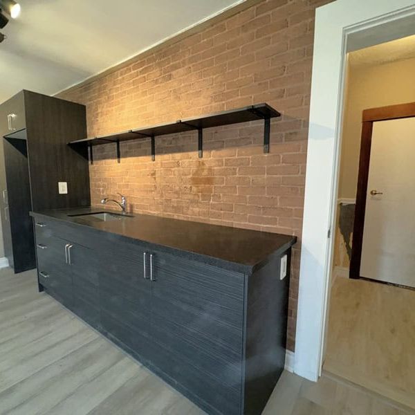 Central Barrie: Newly Renovated 1 Bed, 1 Bath Unit, Wellington St. West - Photo 1