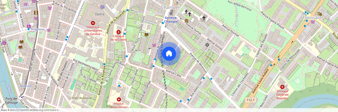 Rue Louis - Curval 10, 1206 Genève