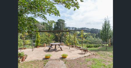 Set high on the hill in Red Hill - Photo 2