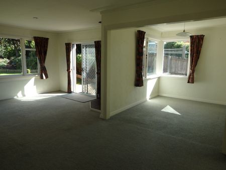 25 Pollock Street, Maori Hill - Photo 2