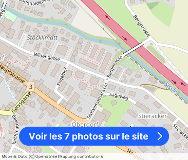 Neubau sucht Mieter in Frick - Photo 1