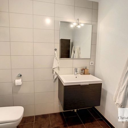 Appartement - LUTTERBACH - 50m² - 1 chambre - Photo 4