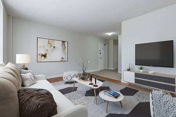 Renovated Suite - 1 Bedroom - Photo 1