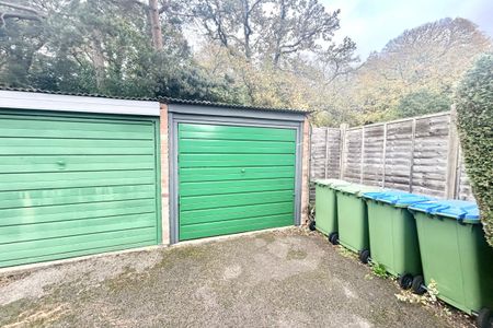 Pine Drive - Photo 5