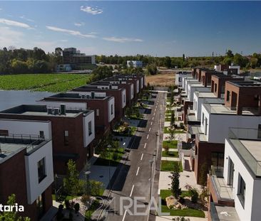 Vile premium de inchiriat in Marina Snagov - piscina si ponton privat - Fotografie 3