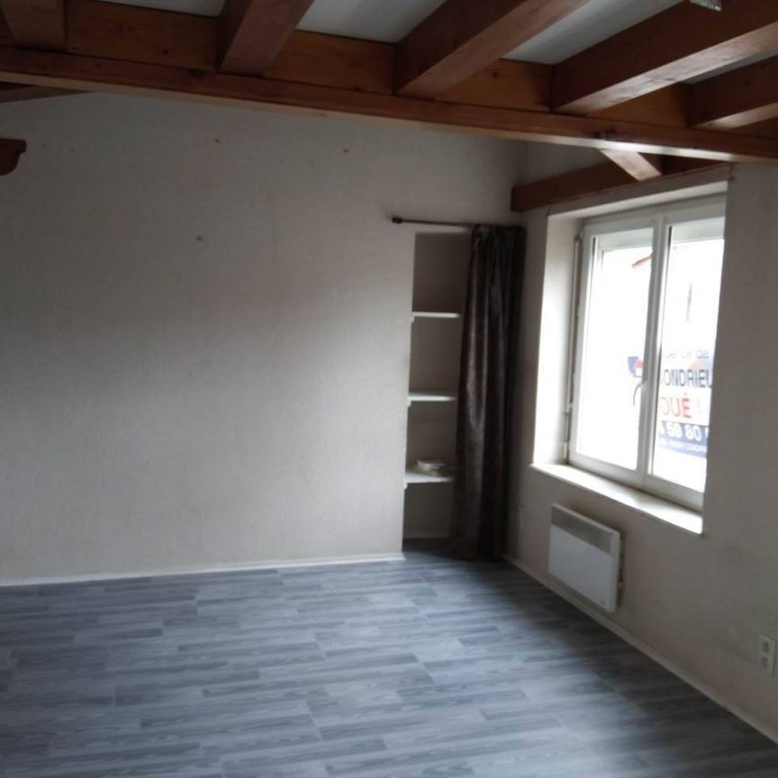 Location appartement 3 pièces 50 m² à Les Roches-de-Condrieu (38370) - Photo 1