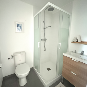 Location Appartement 1 pièce 26m² ROANNE 42300 - Photo 3