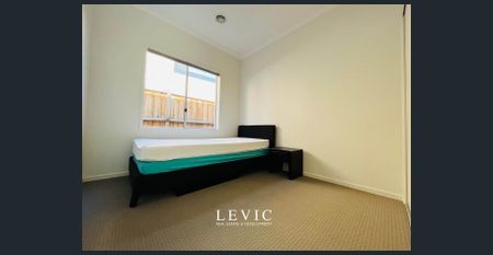 Spacious Family Living in the Heart of Williams Landing - Photo 4