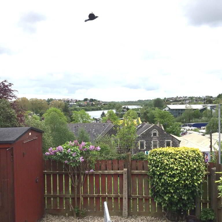 143 Windmill Heights, Enniskillen, BT74 7LW - Photo 1