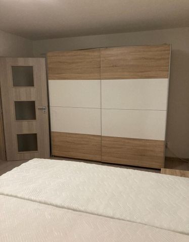 Pronájem bytu 1+1 46 m2 - Fotografie 4