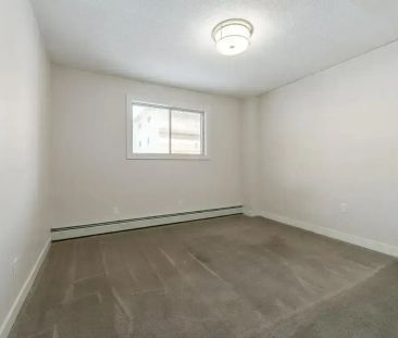 1 Bedroom - Photo 5