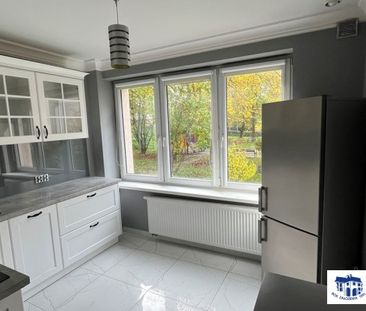 Bielsko-Biała, - Zdjęcie 5