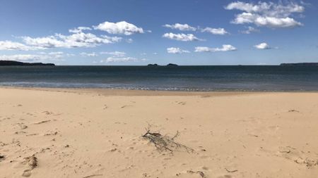 Long Beach, 2536 NSW - Photo 4