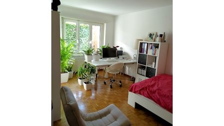 1½ Zimmer-Wohnung in Zürich - Kreis 7 Witikon, möbliert, auf Zeit - Foto 3