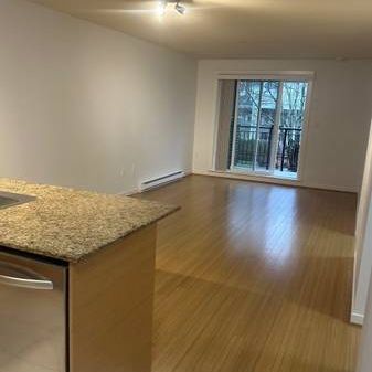 Metrotown 2 Bedrooms Apartment For Rent - Photo 1