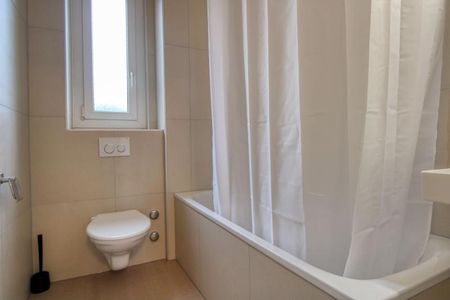 Travis #3 - Comfort and Community in Lausanne - Photo 4