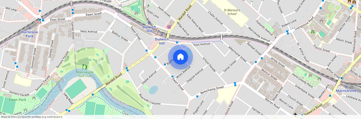 16 BAYLEY STREET, NSW 2204, Marrickville