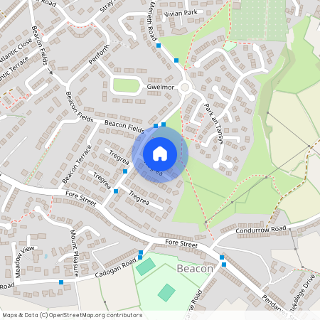 Tregrea Estate, Beacon, Camborne, TR14