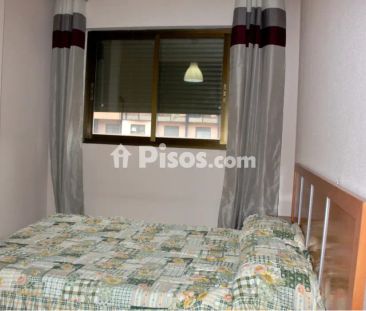 Apartamento en alquiler en Calle de Argentina, 20 - Foto 3