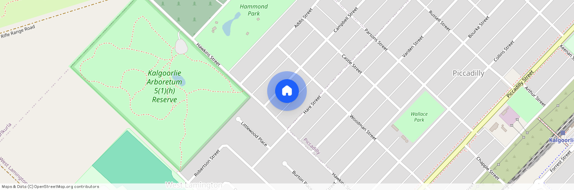 163 Campbell Street, WA 6430, West Lamington