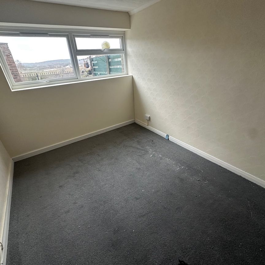 THE HOLLIES - Photo 1