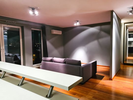 Atrakcyjny apartament wynajem Poznań Szczytnicka - Zdjęcie 1