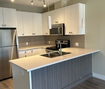 PARALLEL ONE APTS - 202 - P1-202 - Photo 3