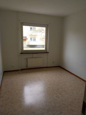 Petreplan 13A - Photo 1