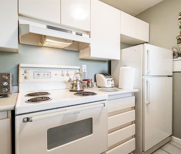 4657 Hazel Street #80X, Burnaby, BC V5H4R2 - Photo 3