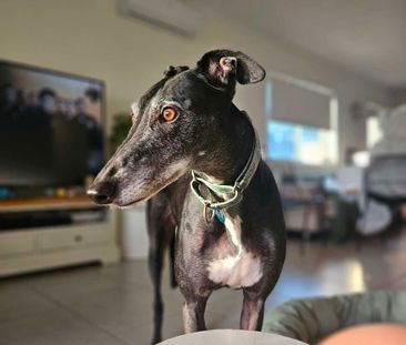 Burpengary - Photo 3