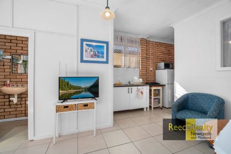 6b Casuarina Circuit, Warabrook - Photo 5