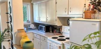 Pet Friendly Apartment in James Bay - Photo 2